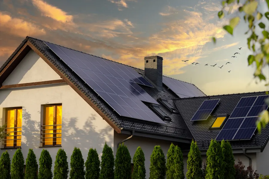 Local Solar Panels